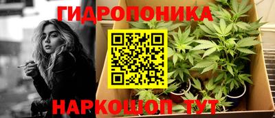 прущий лед Сланцы