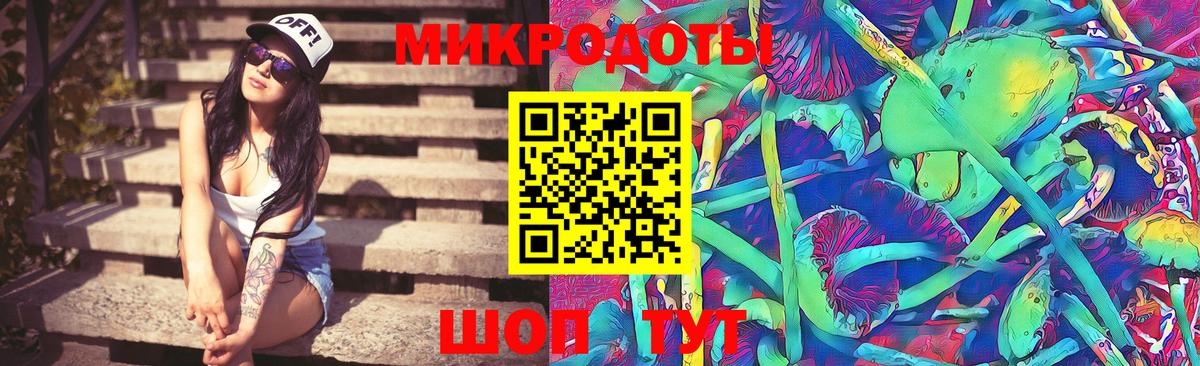 Псилоцибиновые грибы Psilocybine cubensis Богородицк