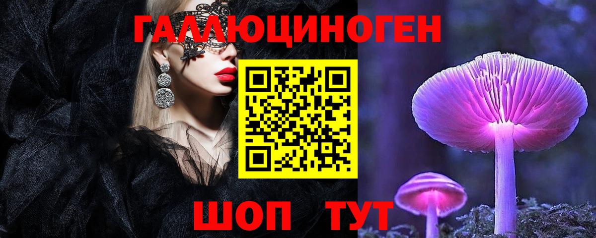 Богородицк  Псилоцибиновые грибы GOLDEN TEACHER  Вход с VPN  Галлюциногенные грибы Cubensis 